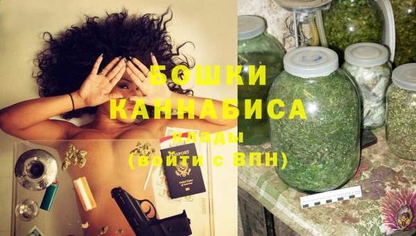 стаф Дмитров