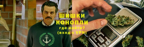 стаф Дмитров