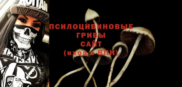 стаф Дмитров