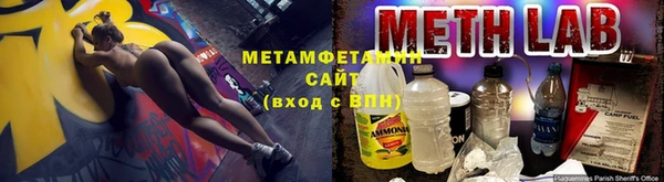 PSILOCYBIN Дмитриев