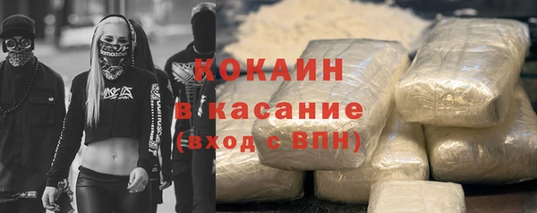 PSILOCYBIN Дмитриев