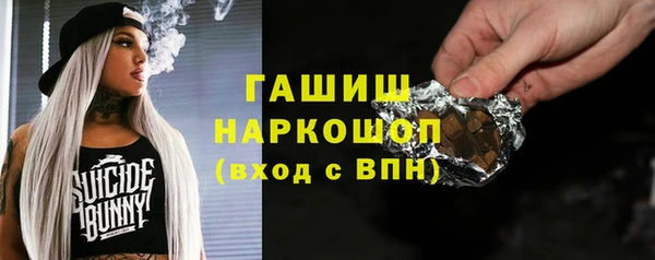 стаф Дмитров