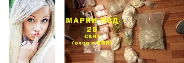 PSILOCYBIN Дмитриев