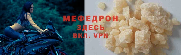 стаф Дмитров