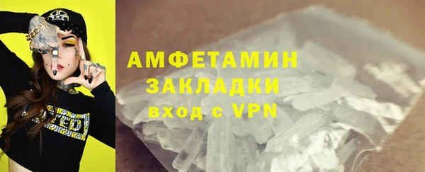 стаф Дмитров
