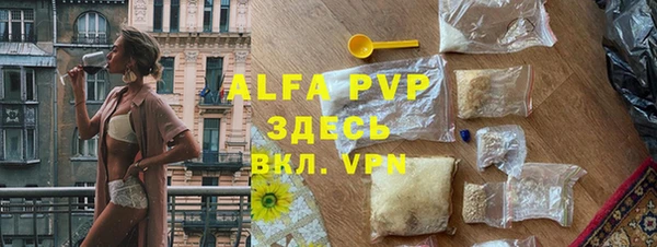 PSILOCYBIN Дмитриев