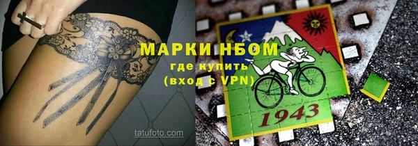 стаф Дмитров