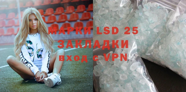 PSILOCYBIN Дмитриев