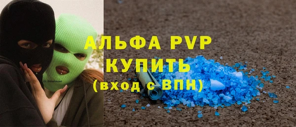 PSILOCYBIN Дмитриев