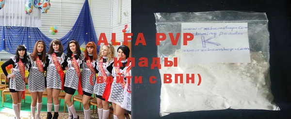 стаф Дмитров