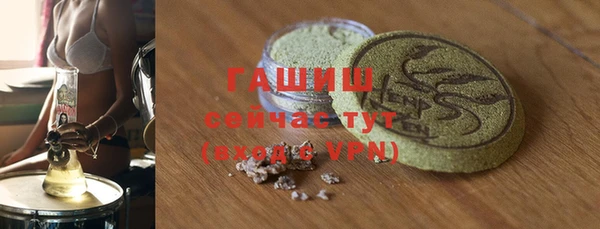 стаф Дмитров